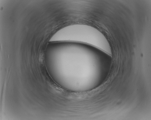 X0000072940033200607210918