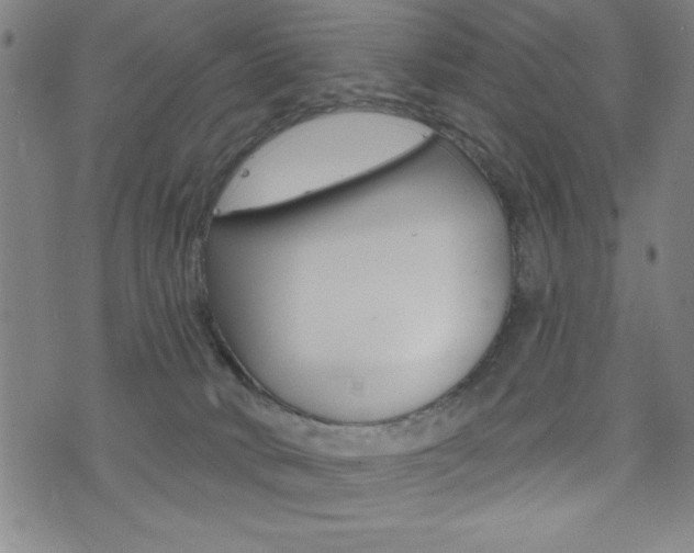 X0000072940034200607210918