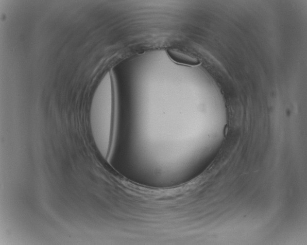 X0000072940035200607210918