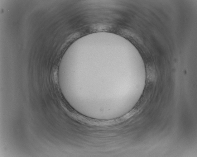 X0000072940036200607210918