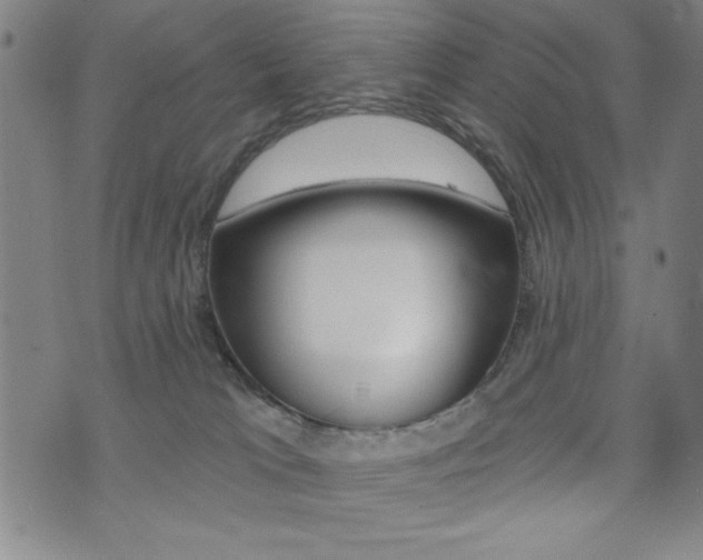 X0000072940037200607210918