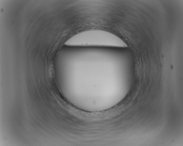 X0000072940038200607210918