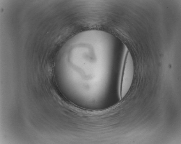 X0000072940039200607210918