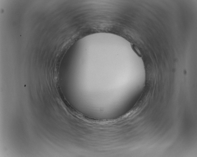 X0000072940040200607210918