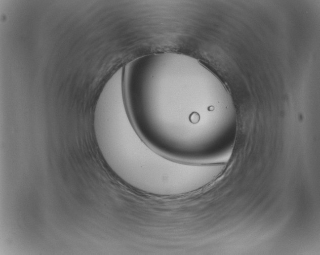 X0000072940041200607210918