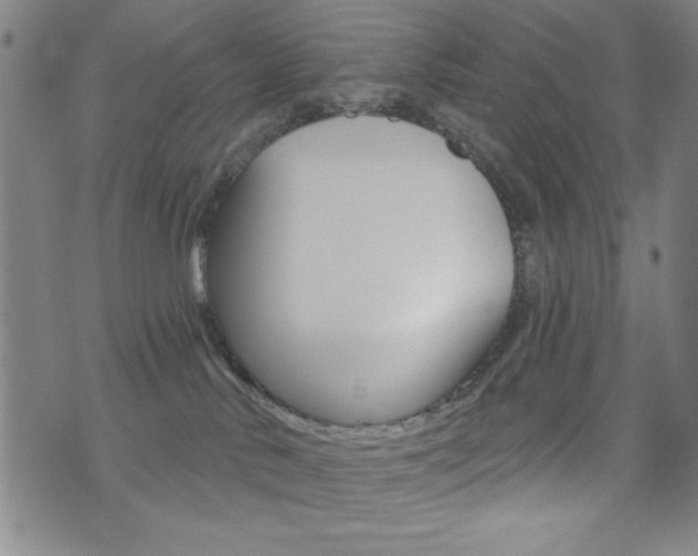 X0000072940042200607210918