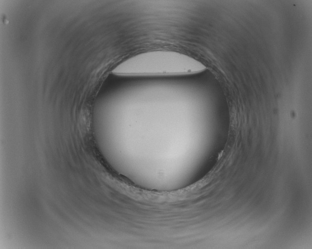 X0000072940043200607210918