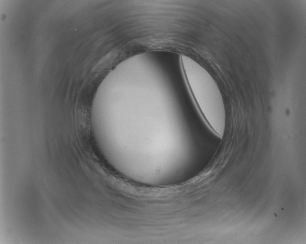 X0000072940044200607210918