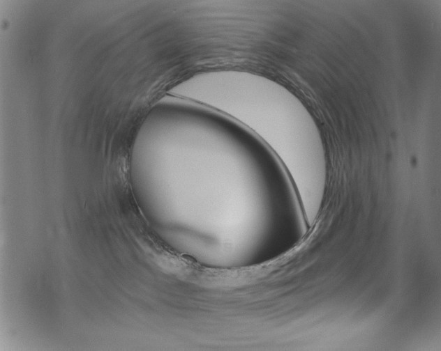 X0000072940045200607210918