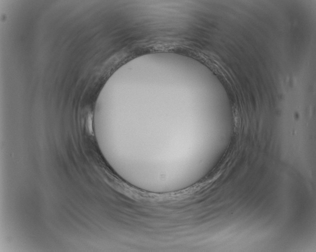 X0000072940046200607210918