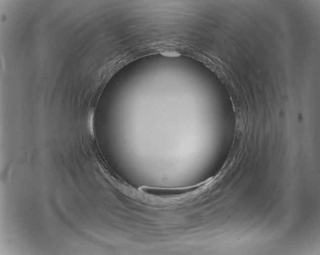 X0000072940047200607210918