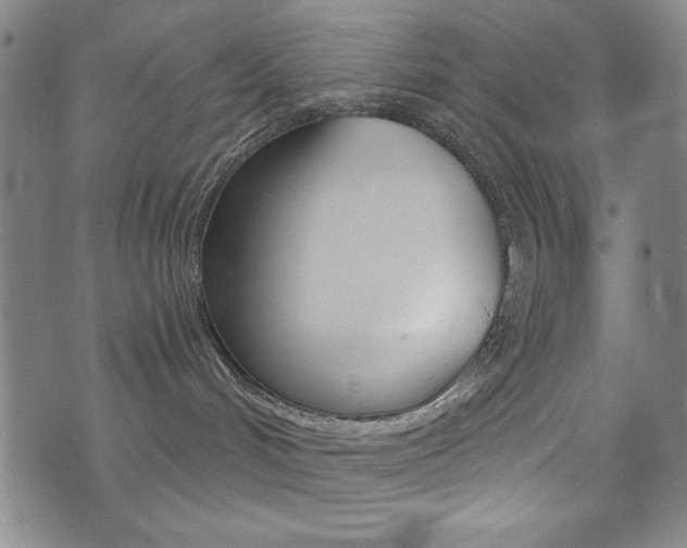 X0000072940048200607210918