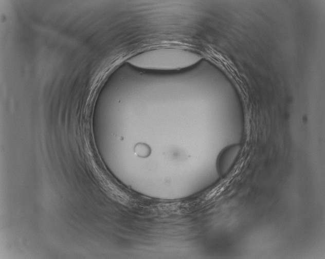 X0000072940049200607210917