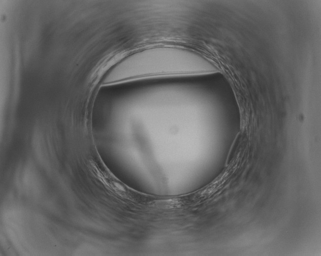 X0000072940050200607210917