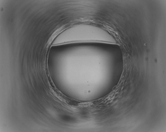 X0000072940051200607210917