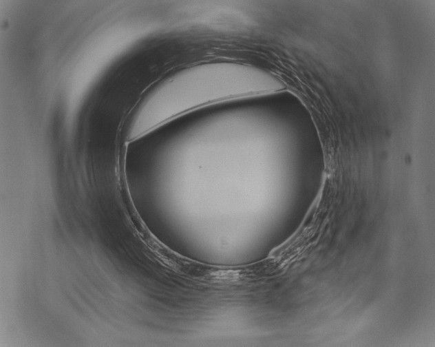 X0000072940052200607210917