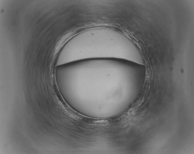 X0000072940053200607210917