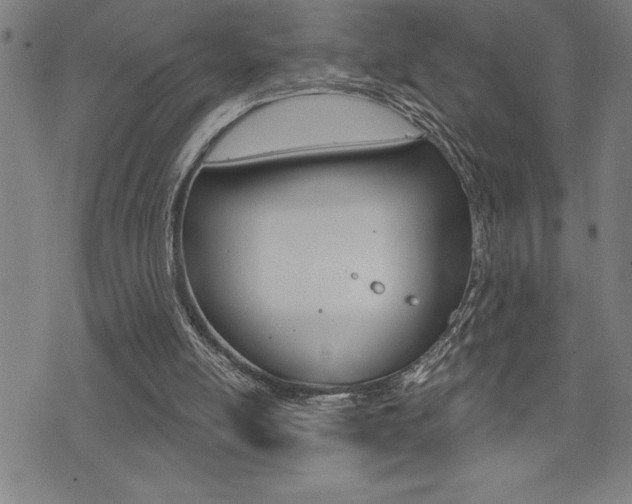 X0000072940054200607210917