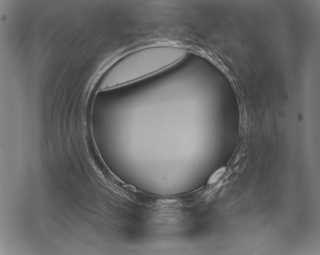 X0000072940055200607210917