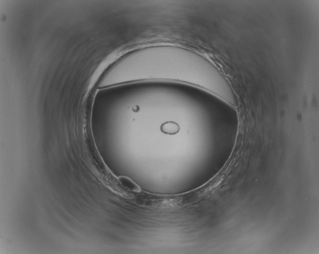 X0000072940056200607210917