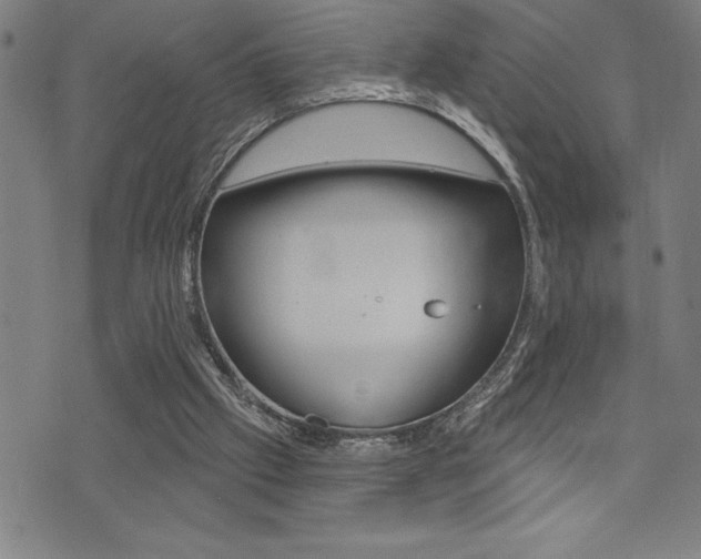 X0000072940057200607210917