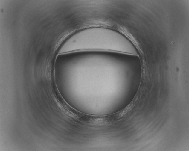 X0000072940058200607210917