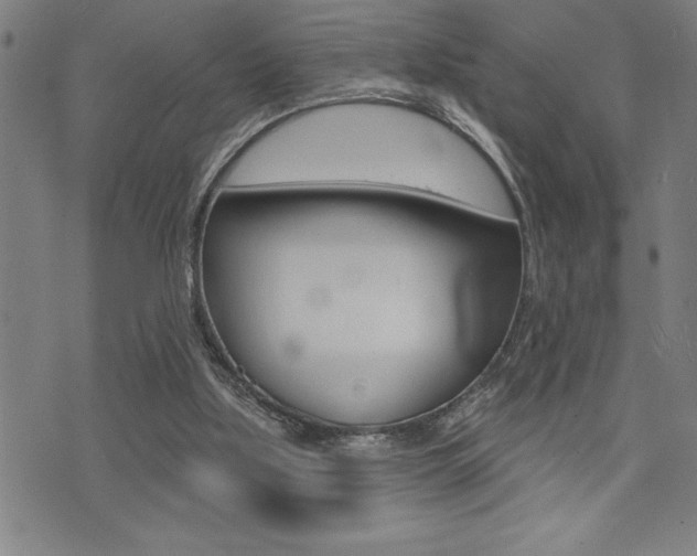 X0000072940059200607210917