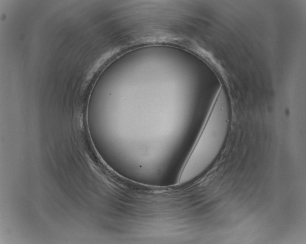 X0000072940060200607210917