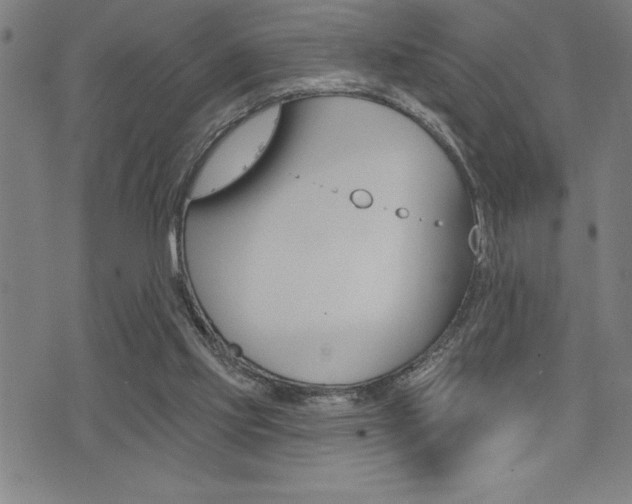 X0000072940061200607210917