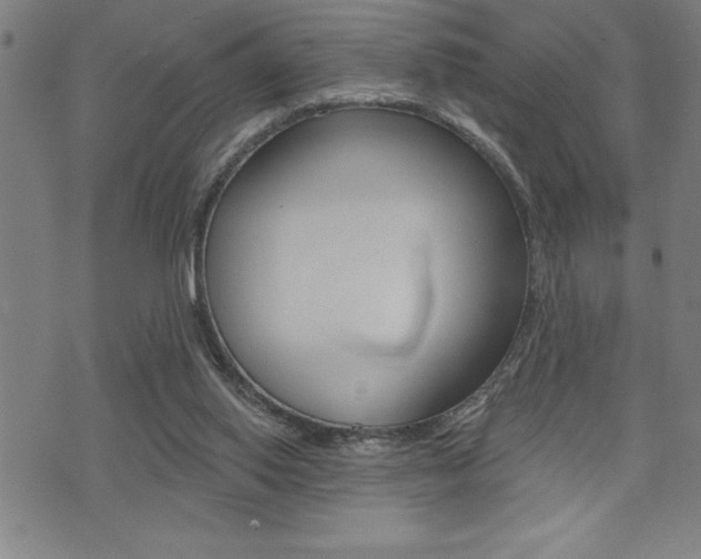 X0000072940062200607210917