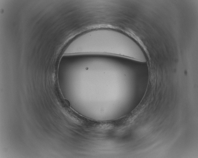 X0000072940063200607210917