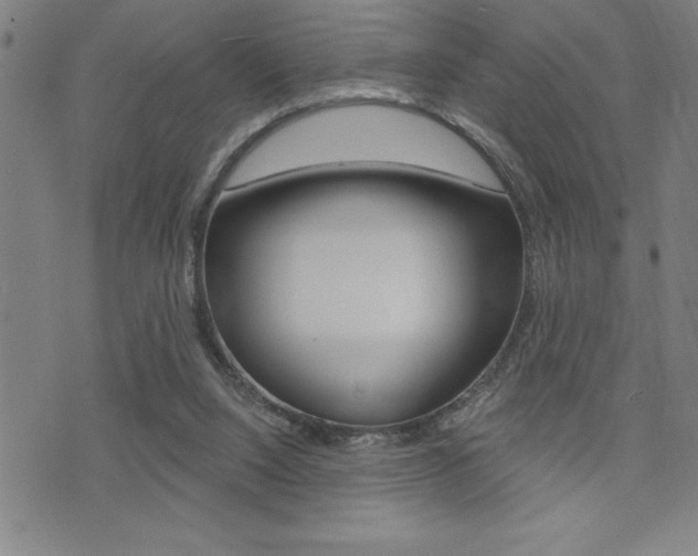 X0000072940064200607210917