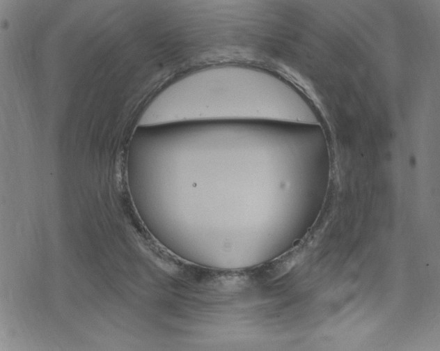 X0000072940065200607210917