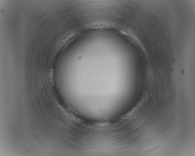 X0000072940066200607210917