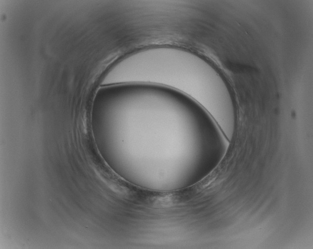 X0000072940068200607210917