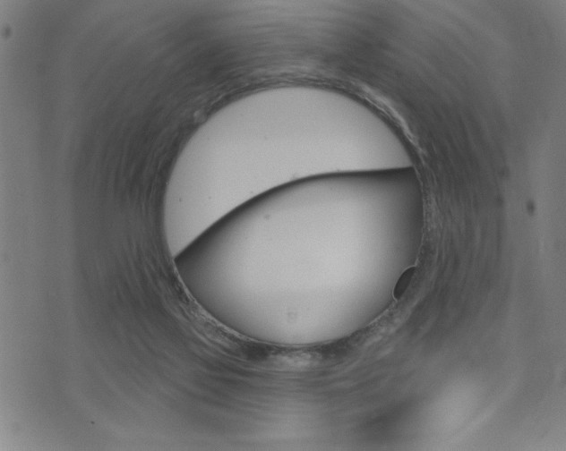 X0000072940069200607210917