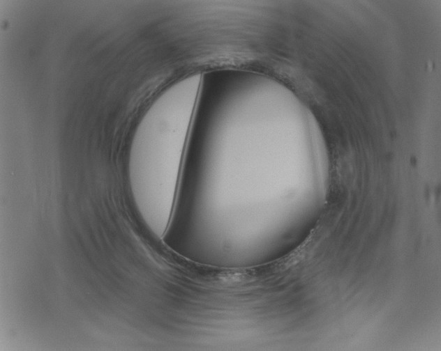 X0000072940070200607210917