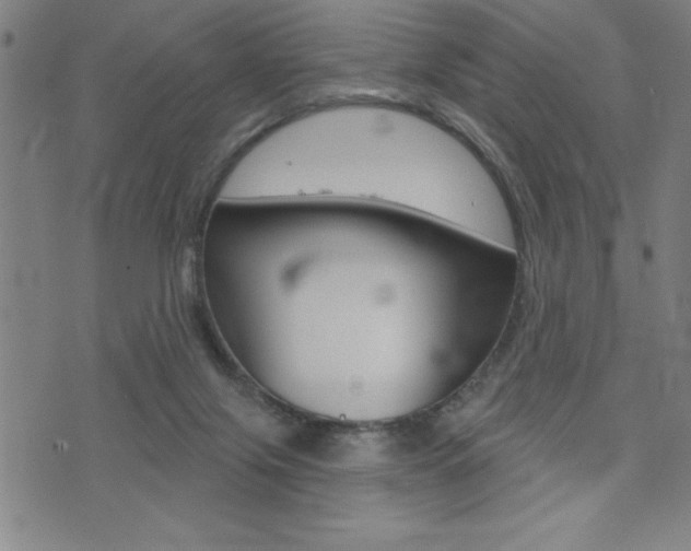 X0000072940071200607210917