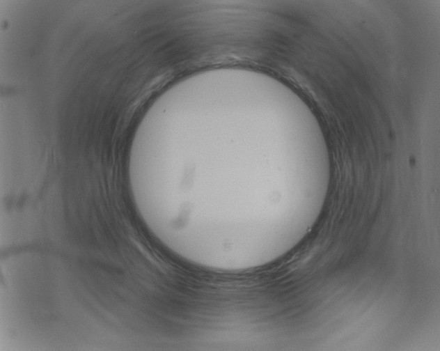 X0000072940072200607210918