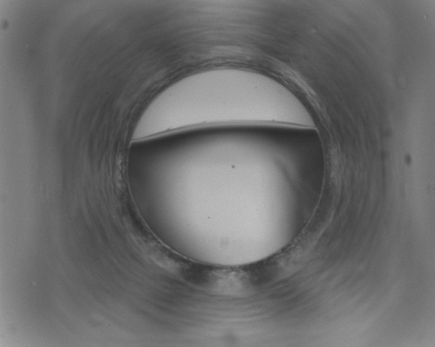 X0000072940073200607210918