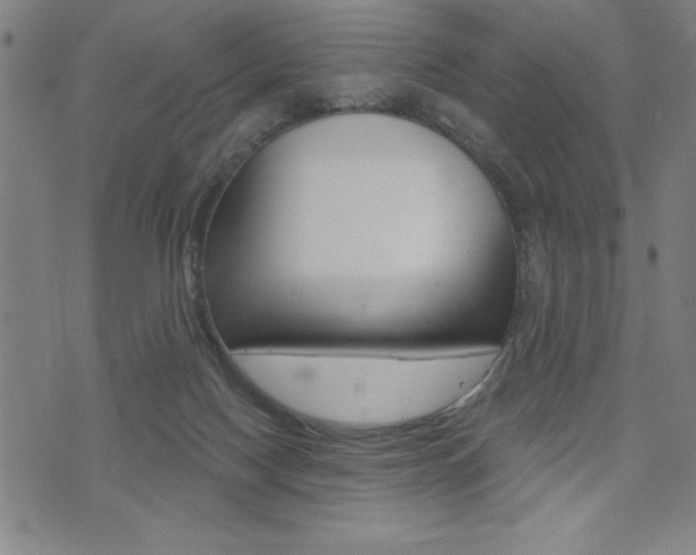 X0000072940074200607210918