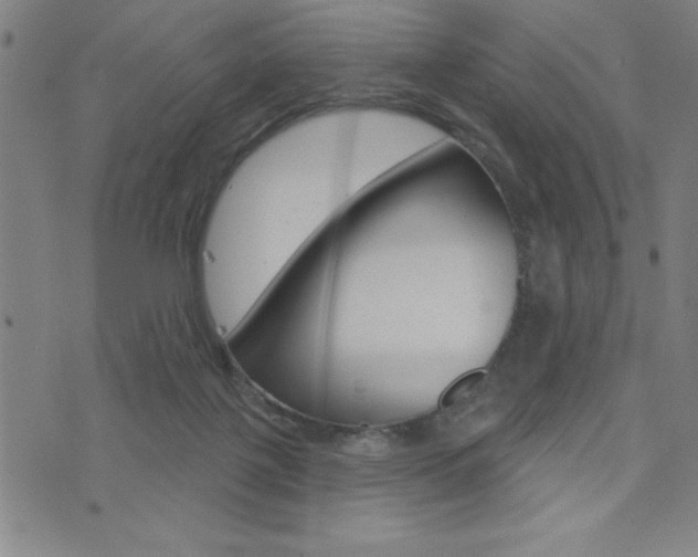 X0000072940075200607210918