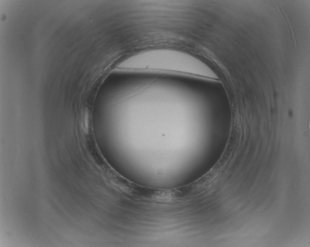 X0000072940076200607210918