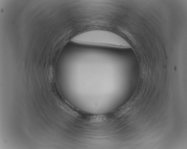 X0000072940077200607210918