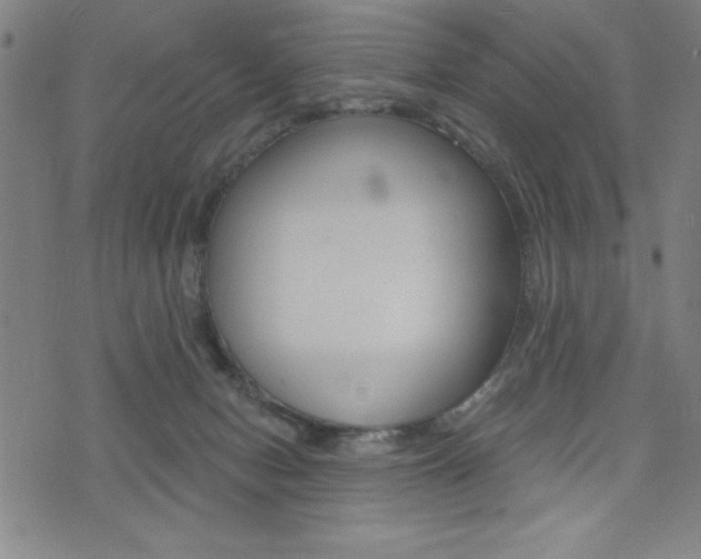 X0000072940078200607210918