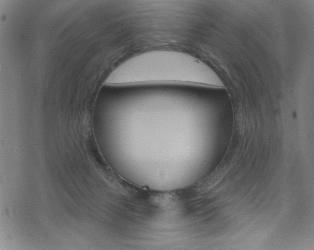 X0000072940079200607210918