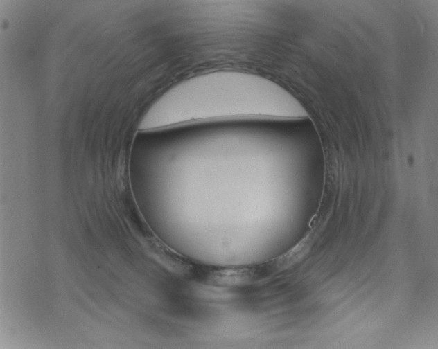 X0000072940082200607210918