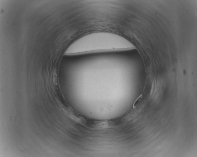 X0000072940083200607210918