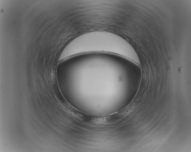 X0000072940084200607210918