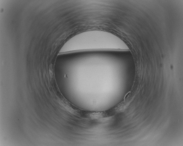 X0000072940085200607210918